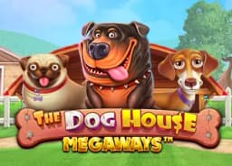 gueswendpanga: The Dog House Megaways